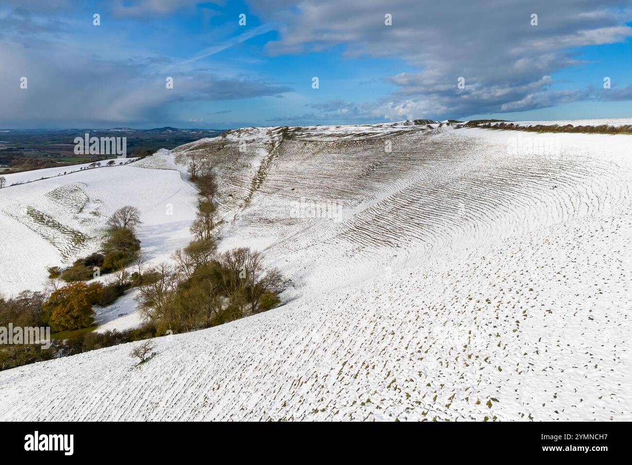 Eggardon Hill, Askerswell, Dorset, Regno Unito. 22 novembre 2024. Meteo nel Regno Unito. La neve ricopre ancora il terreno presso lo storico forte collinare Eggardon ad Askerswell nel Dorset in una fredda mattina di sole dopo la pesante nevicata di ieri. Crediti fotografici: Graham Hunt/Alamy Live News Foto Stock