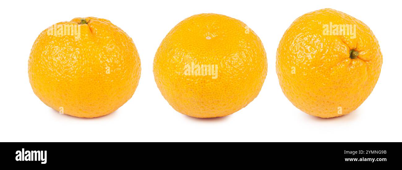 Tre arance mature mostrano il loro colore giallo-arancione brillante e la consistenza ruvida su uno sfondo bianco pulito, che mette in risalto freschezza e qualità. Foto Stock