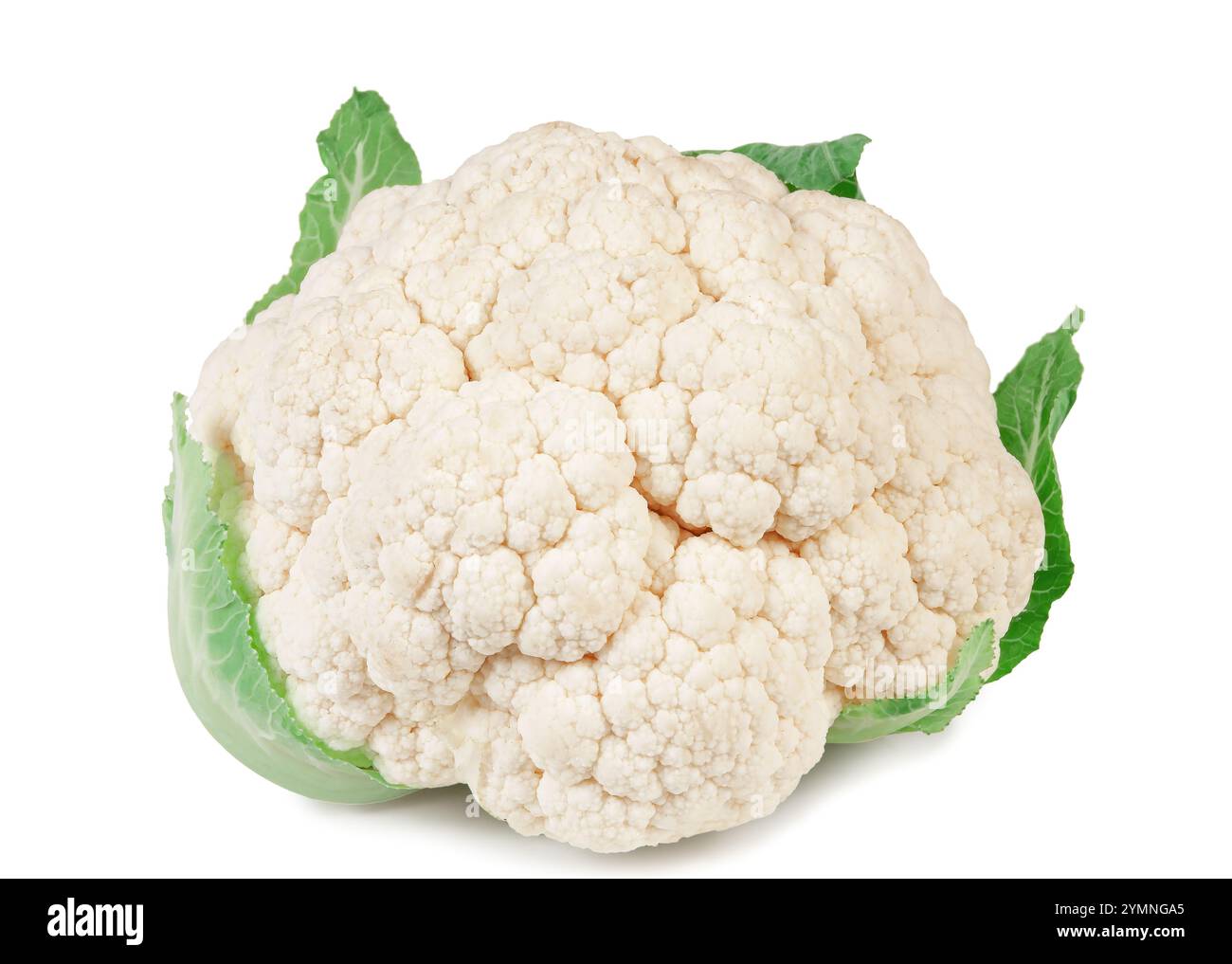 Un intero cavolfiore accompagnato da fiori più piccoli mostra la sua fresca consistenza e foglie verdi vivide su uno sfondo semplice. Foto Stock