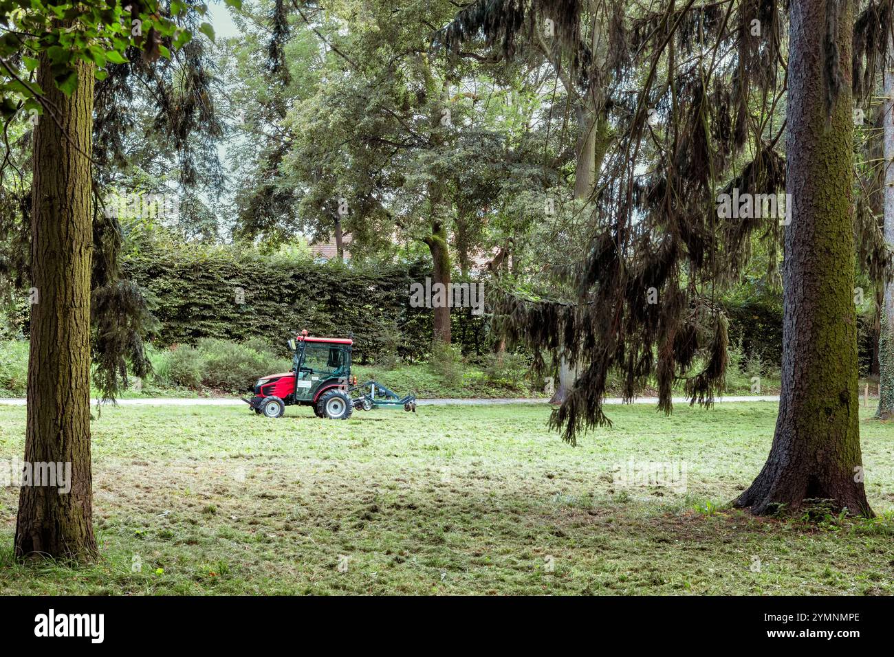 Per la pulizia del parco viene utilizzato un mini trattore rosso. Foto Stock