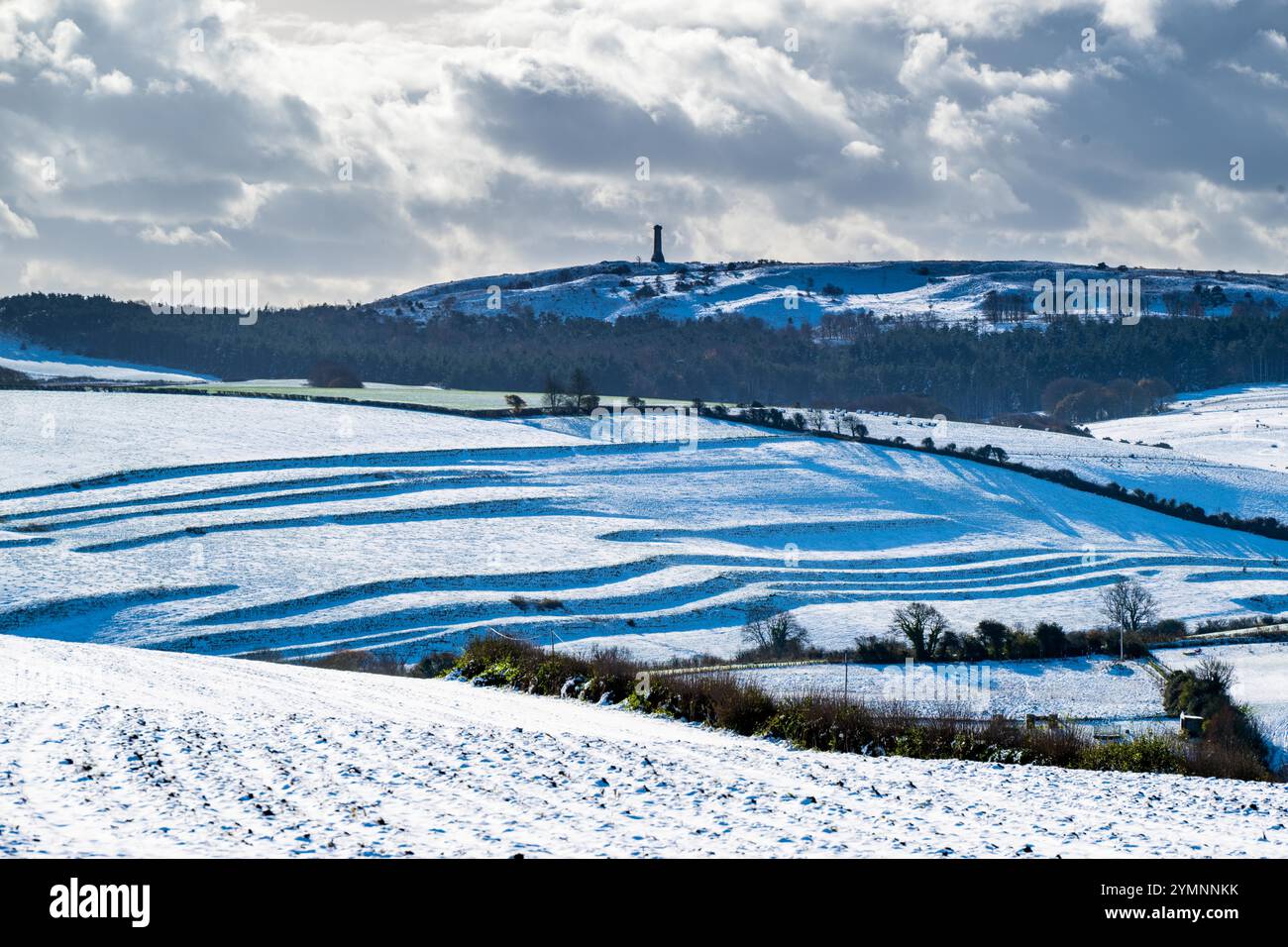 Winterbourne Abbas, Dorset, Regno Unito. 22 novembre 2024. Meteo nel Regno Unito. Ammira i campi innevati dalla Roman Road a Winterbourne Abbas al monumento Hardy in una fredda mattinata di sole. Il monumento fu costruito in memoria del viceammiraglio Sir Thomas Masterman Hardy, capitano di bandiera a bordo della HMS Victory nella battaglia di Trafalgar. Crediti fotografici: Graham Hunt/Alamy Live News Foto Stock