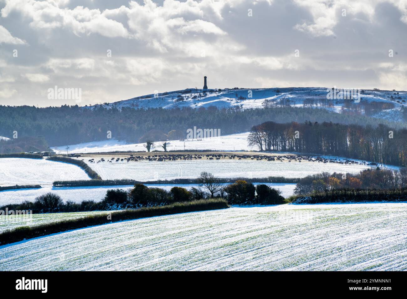Winterbourne Abbas, Dorset, Regno Unito. 22 novembre 2024. Meteo nel Regno Unito. Ammira i campi innevati dalla Roman Road a Winterbourne Abbas al monumento Hardy in una fredda mattinata di sole. Il monumento fu costruito in memoria del viceammiraglio Sir Thomas Masterman Hardy, capitano di bandiera a bordo della HMS Victory nella battaglia di Trafalgar. Crediti fotografici: Graham Hunt/Alamy Live News Foto Stock