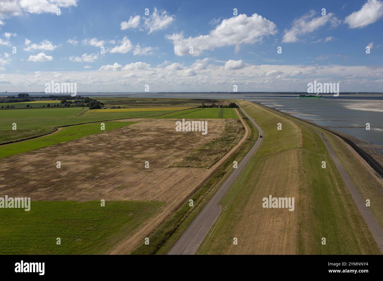Veduta aerea del paesaggio polder , diga marina e Schelda occidentale a Ossenisse, nelle Fiandre Zeelandiche, nei Paesi Bassi d'estate. Copia spazio. Foto Stock