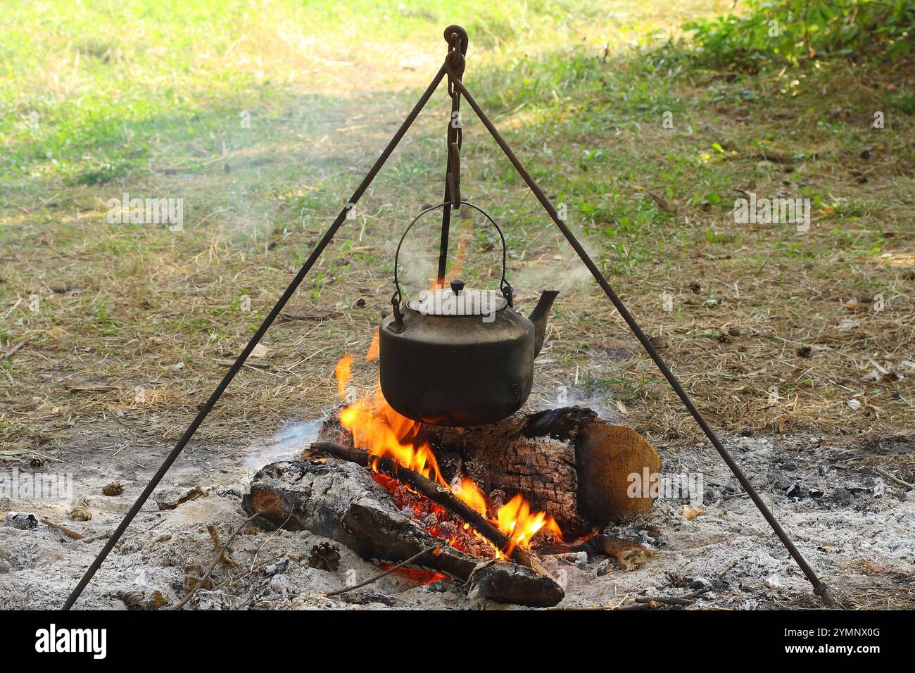 Un bollitore bollente è appeso su un treppiede sopra un fuoco. Cucinare in un'escursione. Foto Stock