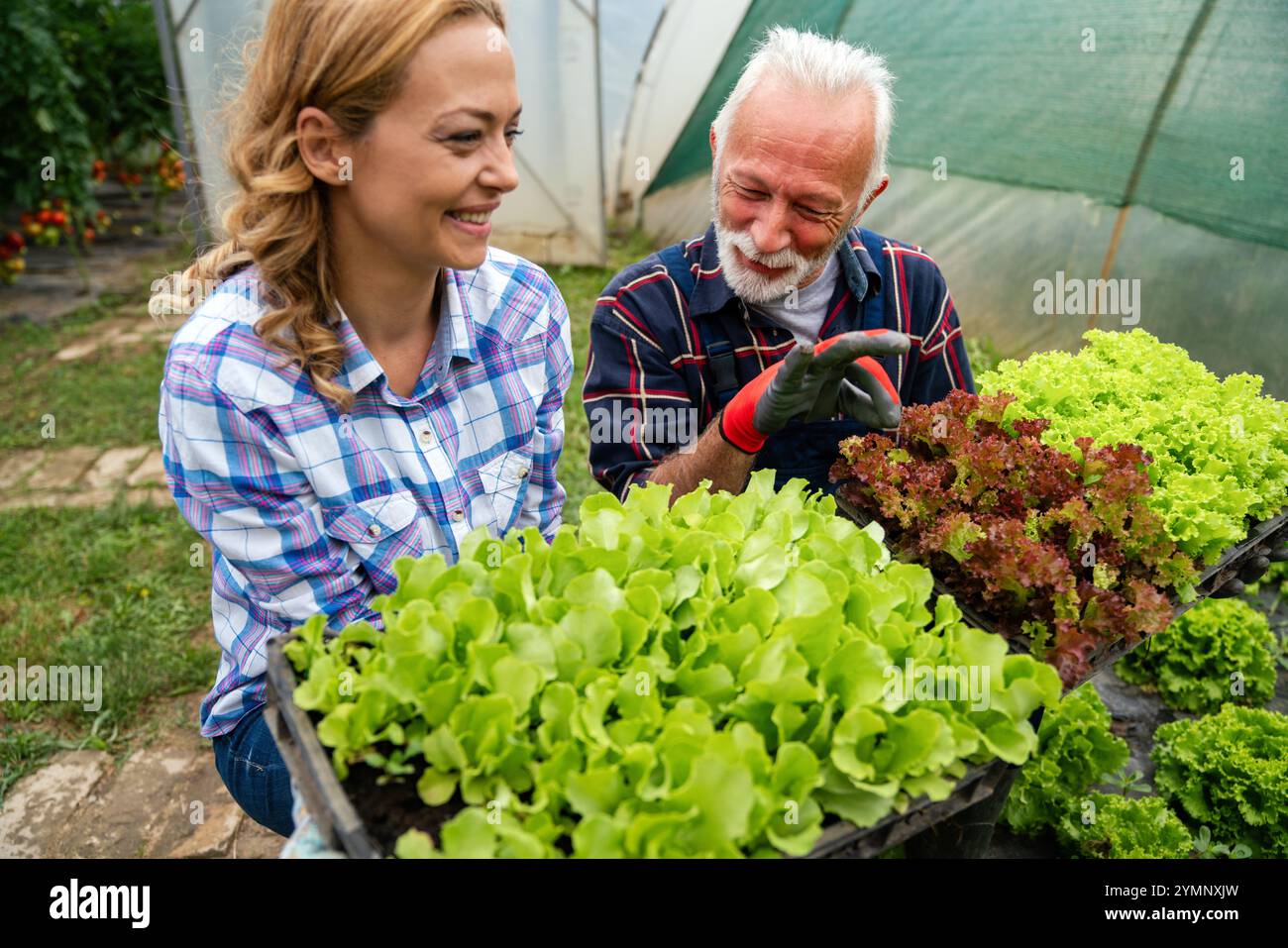 Famiglia felice di coltivatori biologici di verdure da vendere ai negozi locali. Foto Stock