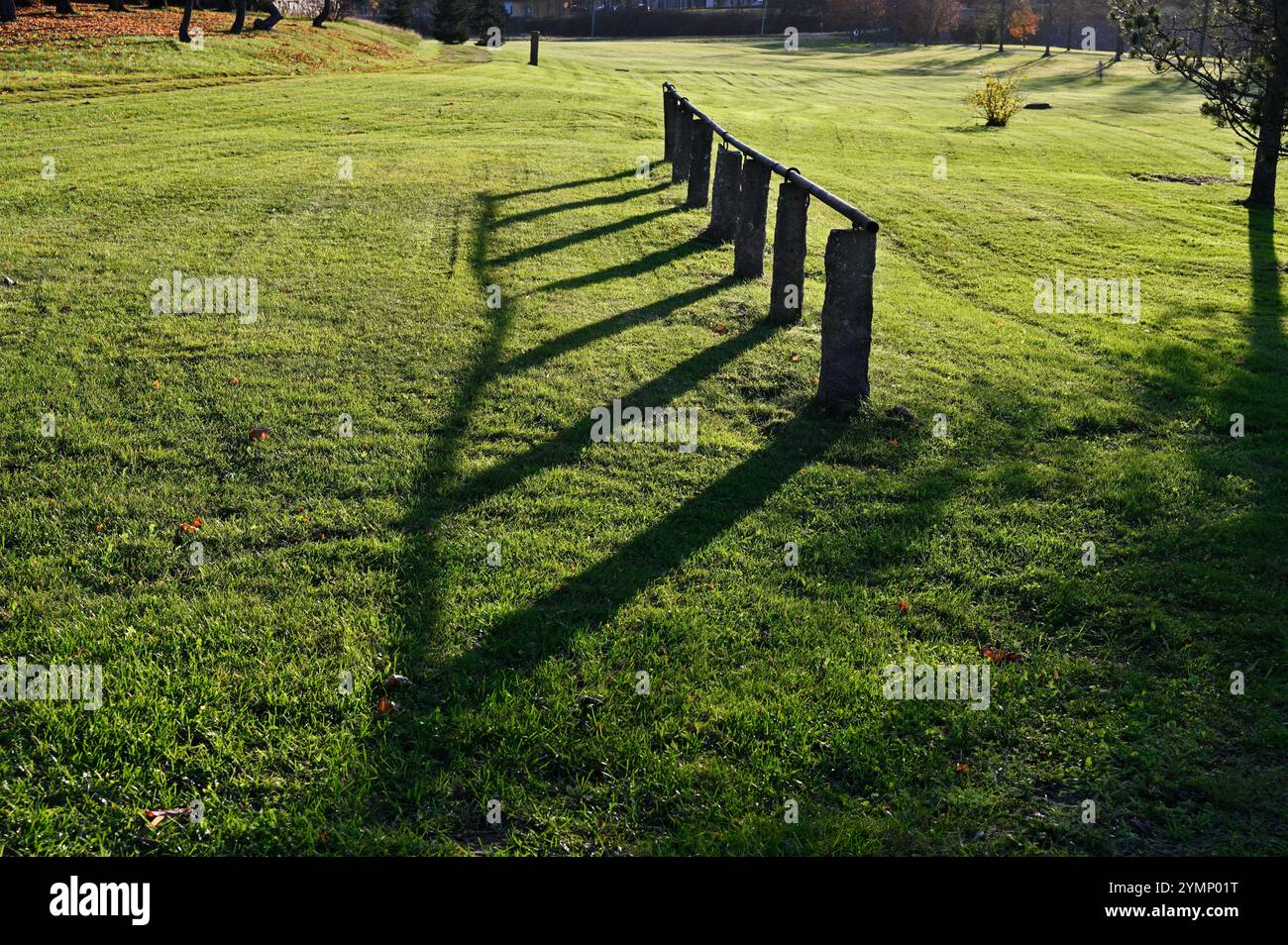 Palo di attacco - poggia su pali per legare cavalli in un campo erboso alla luce del sole soffusa, con una fila di pali in legno o pietra con una guida orizzontale Foto Stock