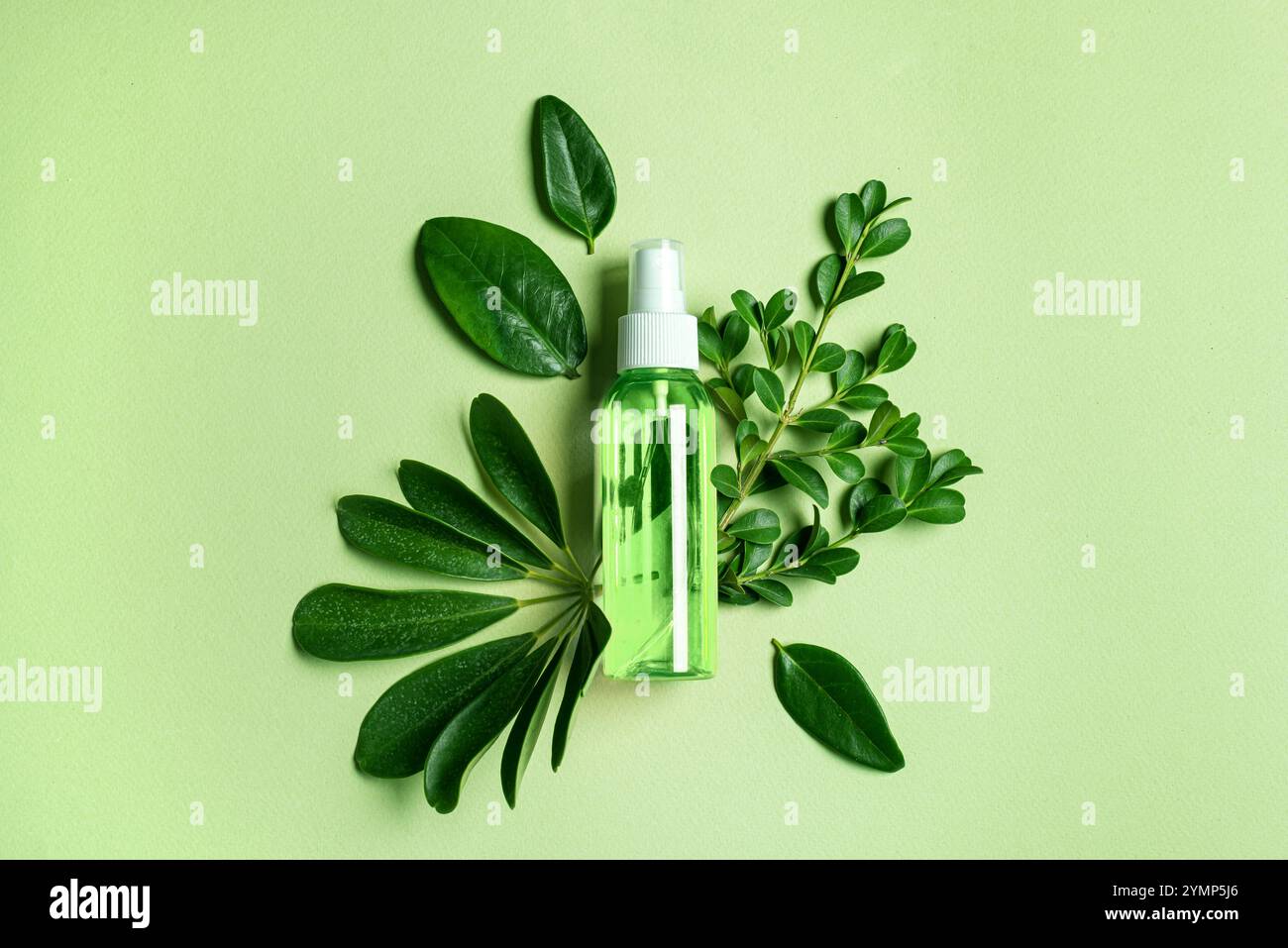 Flacone spray, prodotto cosmetico per il corpo su foglie verdi su sfondo verde. Stile di vita sostenibile, concetto di trattamento estetico, erbe biologiche Foto Stock