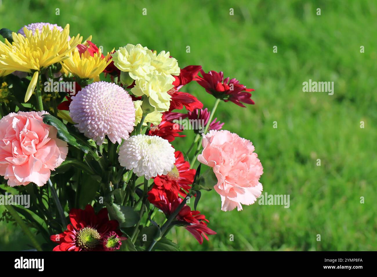 Cornice orizzontale, un mazzo colorato di garofani e crisantemi, sfondo erboso sfocato. Primo piano di fiori rossi, gialli, rosa e bianchi. Foto Stock
