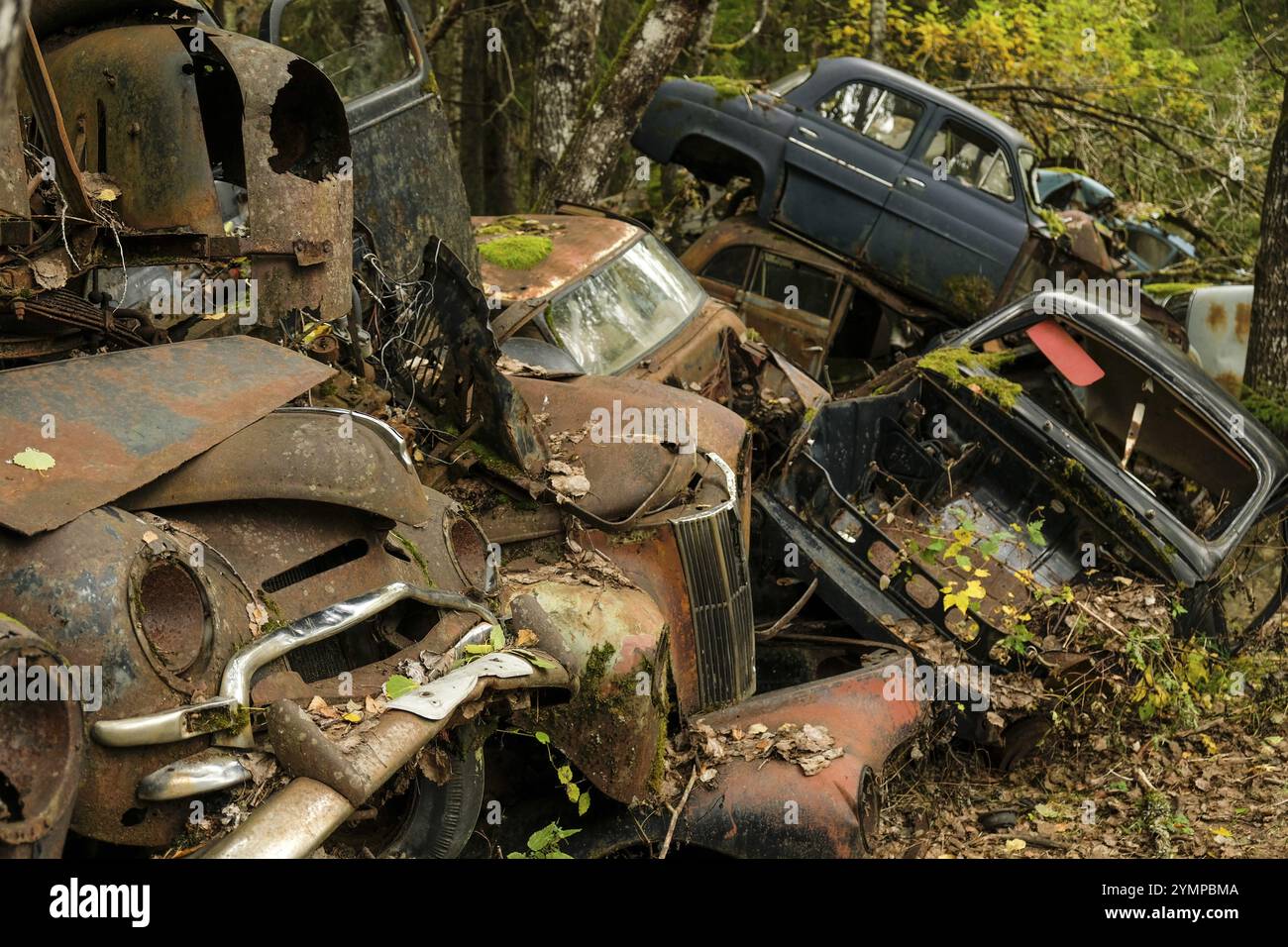 Rottami, cimitero delle auto di Bastnaes, Vaermland, Svezia, Europa Foto Stock