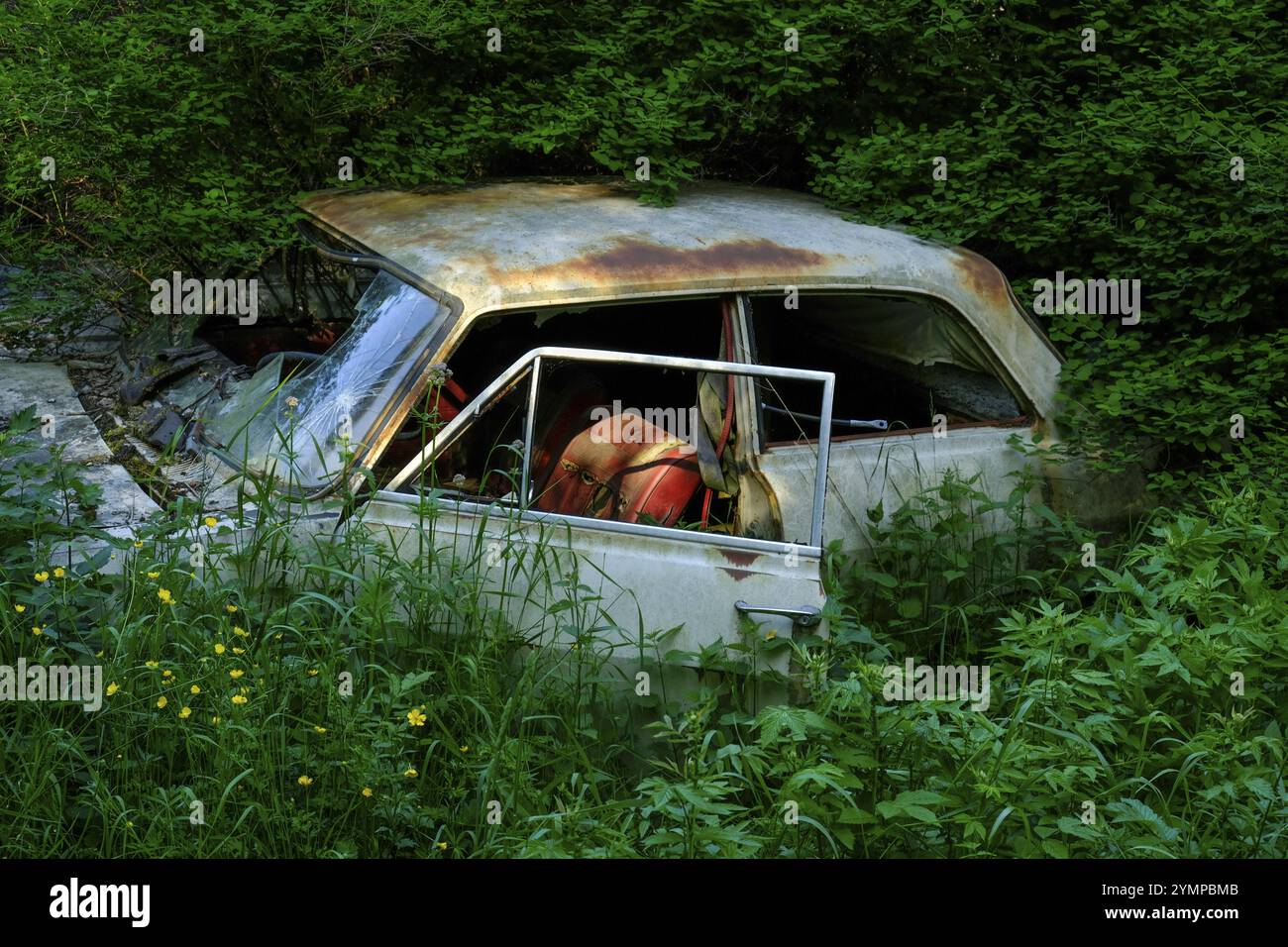 Rottami ricoperti di foreste, cimitero automobilistico di Bastnaes, Vaermland, Svezia, Europa Foto Stock