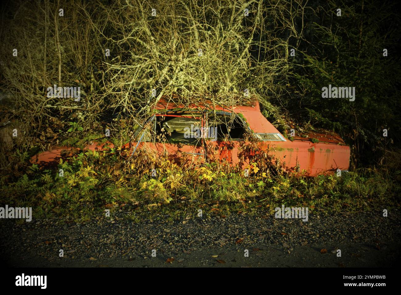 Rottami ricoperti di foreste, vignette, cimitero delle automobili di Bastnaes, Vaermland, Svezia, Europa Foto Stock