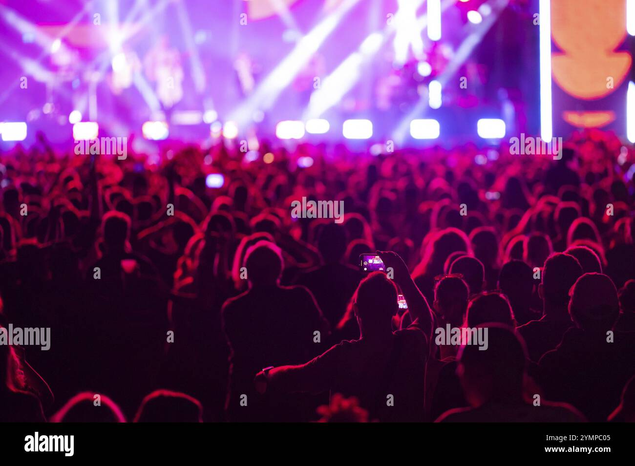 Folla di persone davanti al palco durante il concerto. Polonia Foto Stock