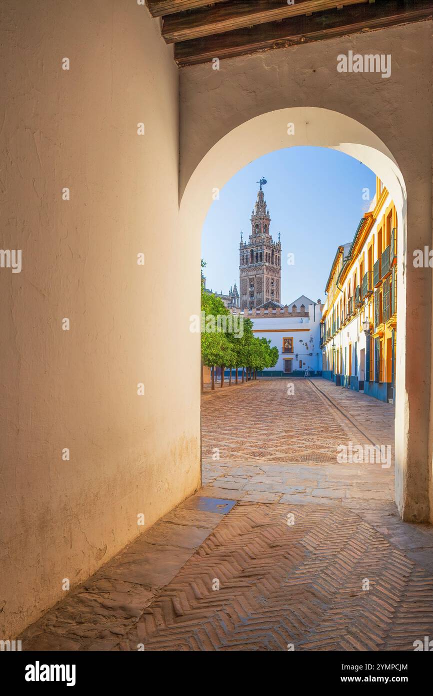 Vista della torre della cattedrale la Giralda incorniciata da un arco. Siviglia, Andalusia, Spagna Foto Stock