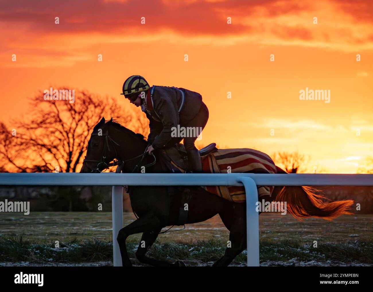 Alba sul Lambourn Training Grounds, The Jockey Club, Regno Unito Foto Stock