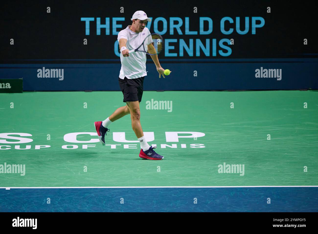 Malaga, Spagna. 22 novembre 2024. Daniel Altmaier, squadra tedesca, in azione contro Botic Van de Zandschulp, squadra olandese vista in azione durante la semifinale di Coppa Davis 8 singolare match 1 Martin Carpena Arena. (Foto di Vicente Vidal Fernandez/Sipa USA) credito: SIPA USA/Alamy Live News Foto Stock