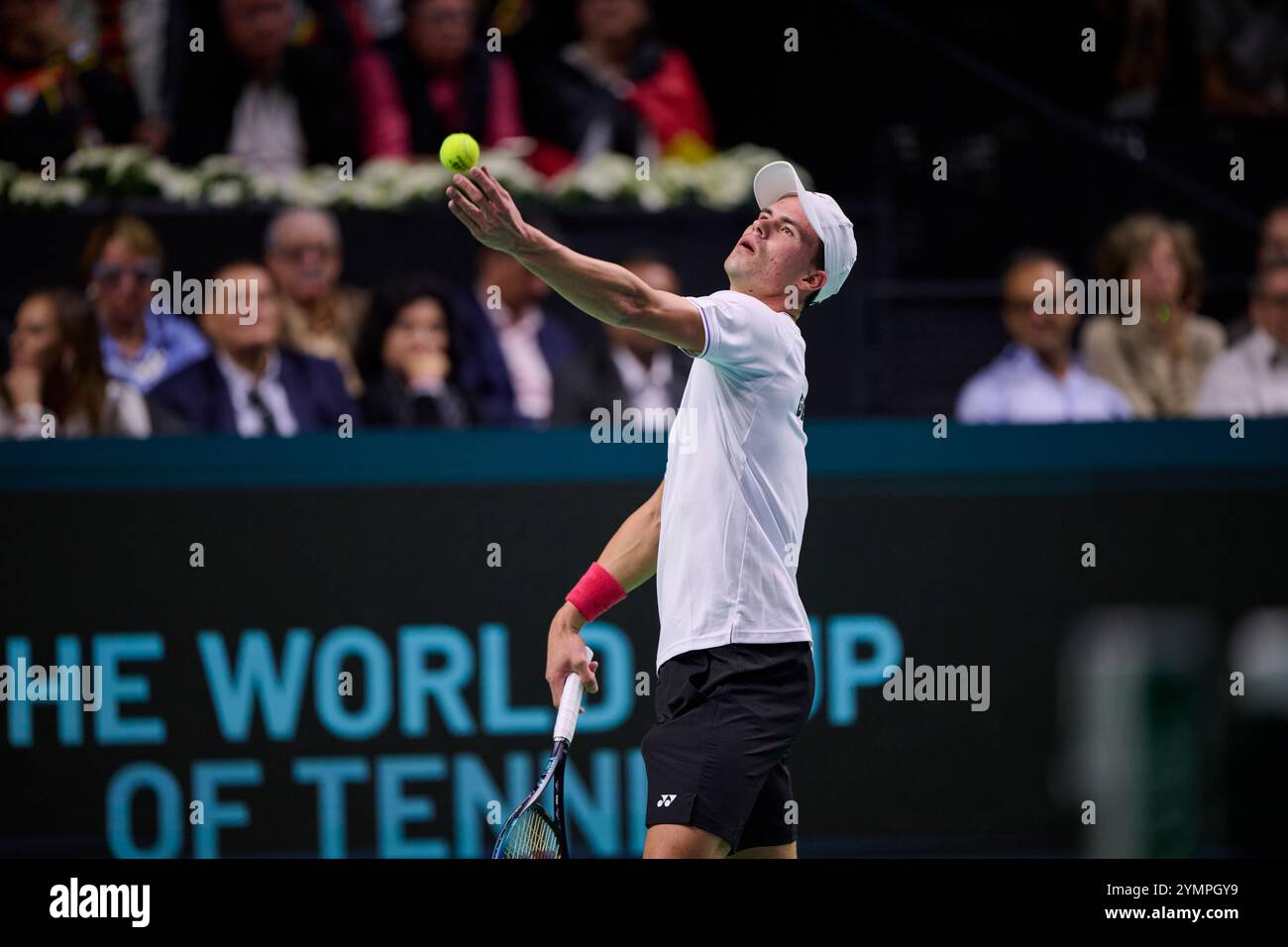 Malaga, Spagna. 22 novembre 2024. Daniel Altmaier, squadra tedesca, in azione contro Botic Van de Zandschulp, squadra olandese vista in azione durante la semifinale di Coppa Davis 8 singolare match 1 Martin Carpena Arena. (Foto di Vicente Vidal Fernandez/Sipa USA) credito: SIPA USA/Alamy Live News Foto Stock