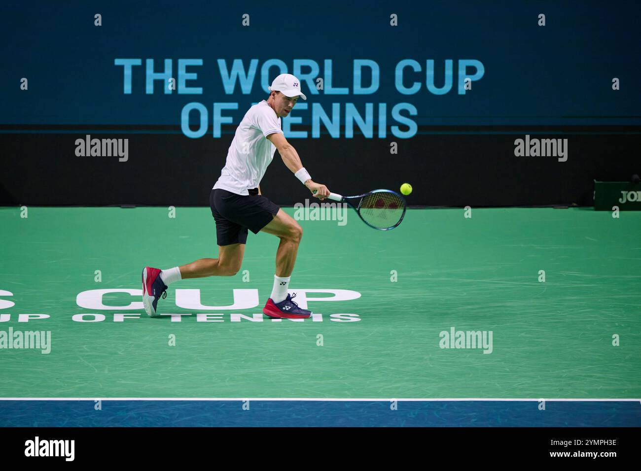 Malaga, Spagna. 22 novembre 2024. Daniel Altmaier, squadra tedesca, in azione contro Botic Van de Zandschulp, squadra olandese vista in azione durante la semifinale di Coppa Davis 8 singolare match 1 Martin Carpena Arena. (Foto di Vicente Vidal Fernandez/Sipa USA) credito: SIPA USA/Alamy Live News Foto Stock