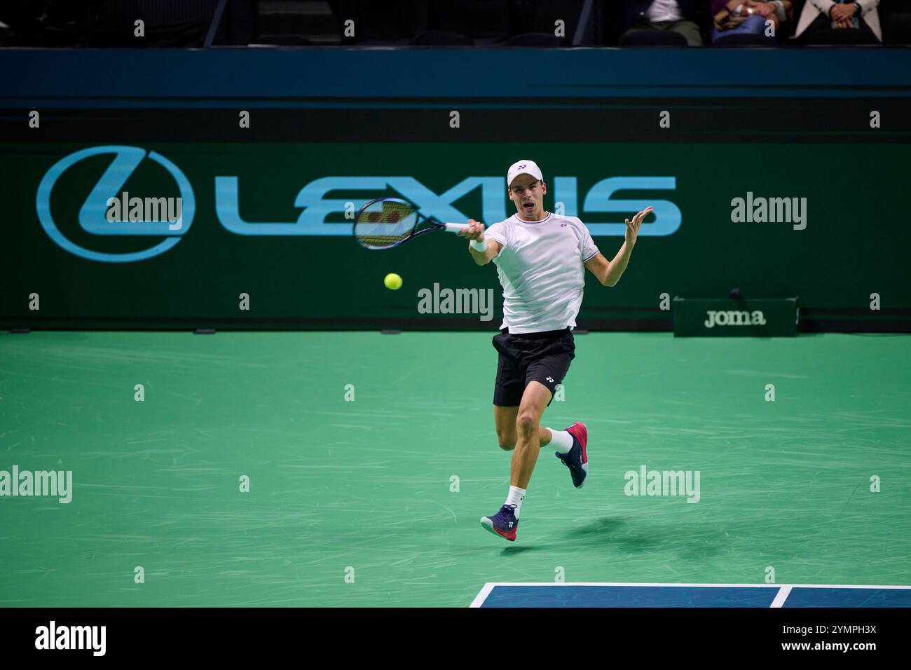 Malaga, Spagna. 22 novembre 2024. Daniel Altmaier, squadra tedesca, in azione contro Botic Van de Zandschulp, squadra olandese vista in azione durante la semifinale di Coppa Davis 8 singolare match 1 Martin Carpena Arena. (Foto di Vicente Vidal Fernandez/Sipa USA) credito: SIPA USA/Alamy Live News Foto Stock