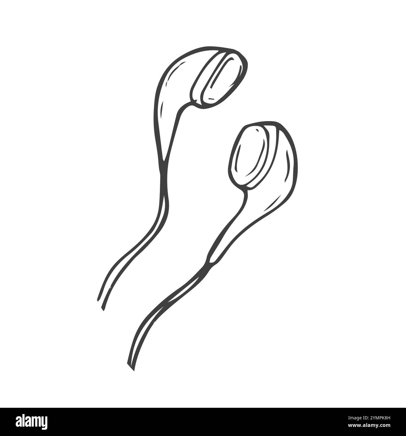 Cuffie. Filo lungo con spina. Illustrazione vettoriale. Schizzo. Contorno su sfondo bianco isolato. Stile doodle. Un dispositivo per ascoltare la voce i. Illustrazione Vettoriale