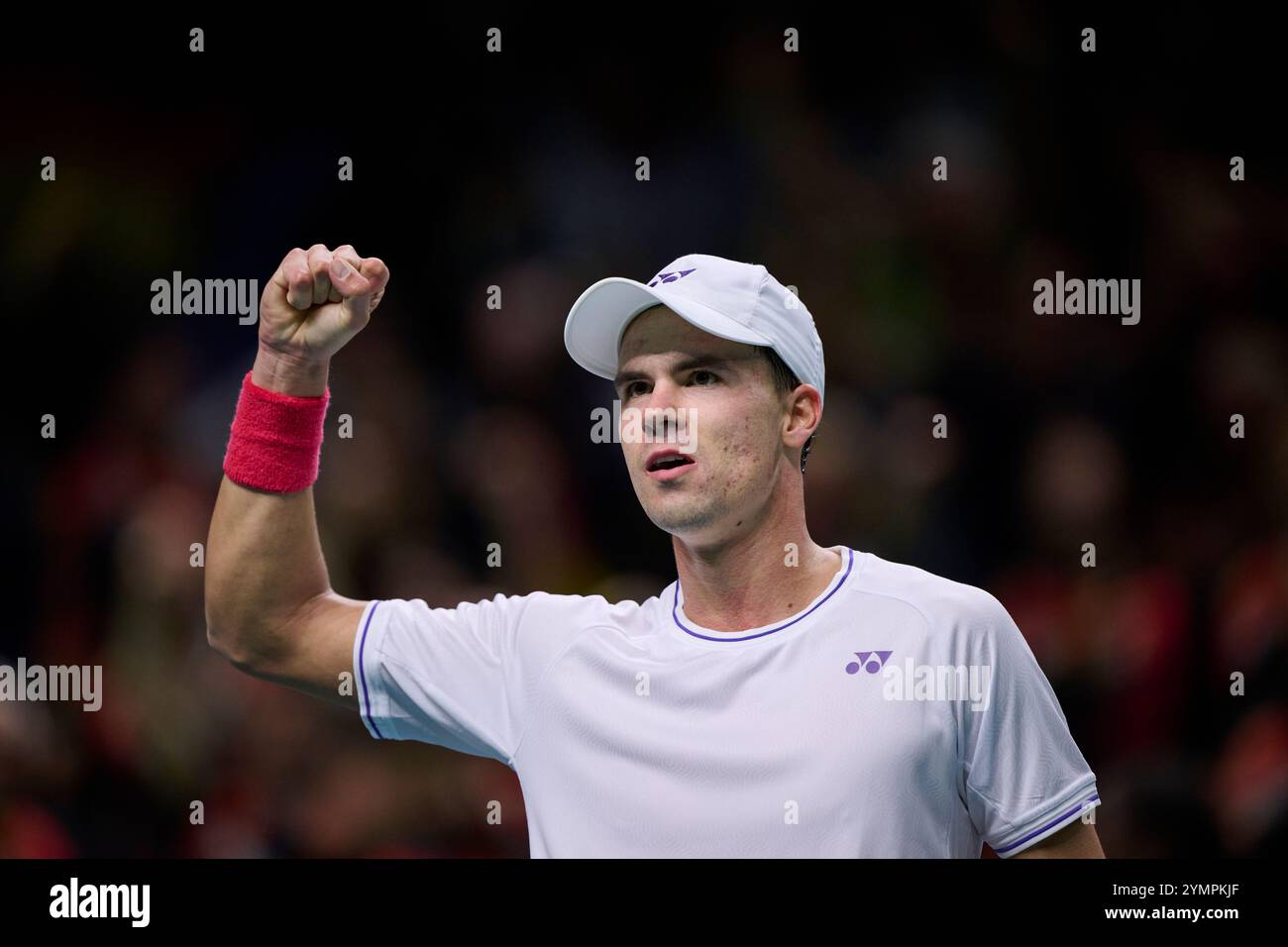 Malaga, Spagna, 22 novembre 2024. Daniel Altmaier, tedesco, alla semifinale di Coppa Davis 8 match singolo 1. Crediti: Vicente Vidal Fernandez/Alamy Live News Foto Stock