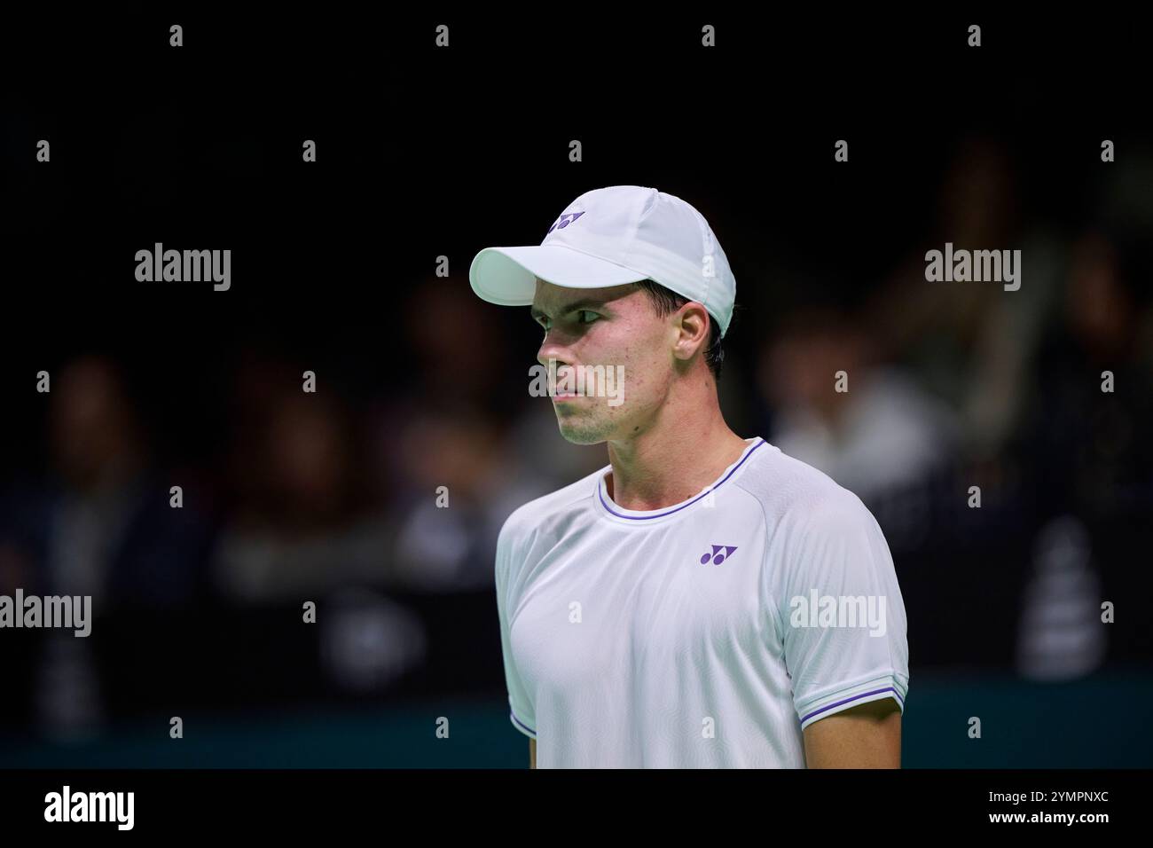Malaga, Spagna. 22 novembre 2024. Daniel Altmaier, squadra tedesca, in azione contro Botic Van de Zandschulp, squadra olandese vista in azione durante la semifinale di Coppa Davis 8 singolare match 1 Martin Carpena Arena. (Foto di Vicente Vidal Fernandez/Sipa USA) credito: SIPA USA/Alamy Live News Foto Stock