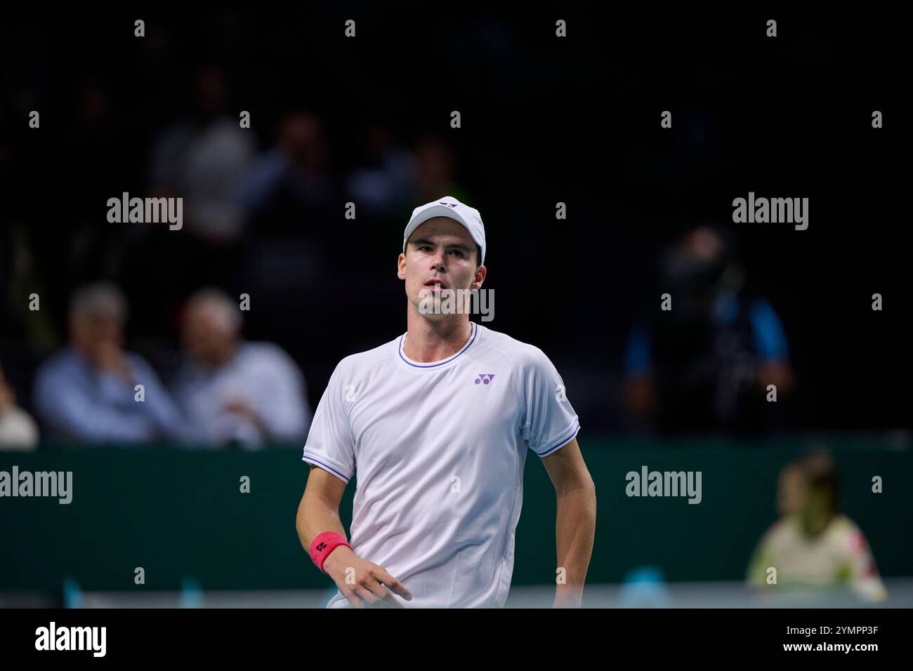 Malaga, Spagna. 22 novembre 2024. Daniel Altmaier, squadra tedesca, in azione contro Botic Van de Zandschulp, squadra olandese vista in azione durante la semifinale di Coppa Davis 8 singolare match 1 Martin Carpena Arena. (Foto di Vicente Vidal Fernandez/Sipa USA) credito: SIPA USA/Alamy Live News Foto Stock