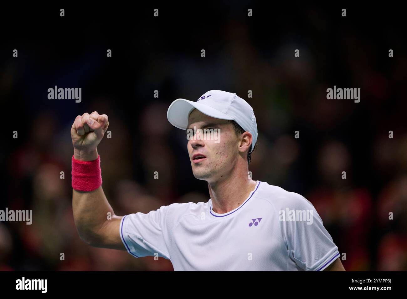 Malaga, Spagna. 22 novembre 2024. Daniel Altmaier, squadra tedesca, in azione contro Botic Van de Zandschulp, squadra olandese vista in azione durante la semifinale di Coppa Davis 8 singolare match 1 Martin Carpena Arena. (Foto di Vicente Vidal Fernandez/Sipa USA) credito: SIPA USA/Alamy Live News Foto Stock