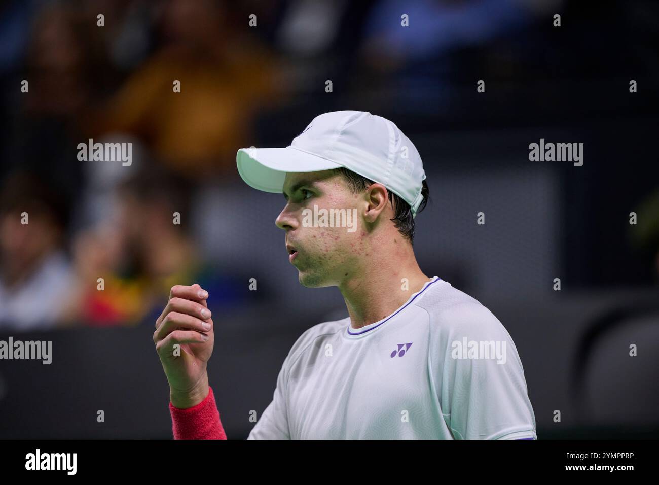 Malaga, Spagna. 22 novembre 2024. Daniel Altmaier, squadra tedesca, in azione contro Botic Van de Zandschulp, squadra olandese vista in azione durante la semifinale di Coppa Davis 8 singolare match 1 Martin Carpena Arena. (Foto di Vicente Vidal Fernandez/Sipa USA) credito: SIPA USA/Alamy Live News Foto Stock