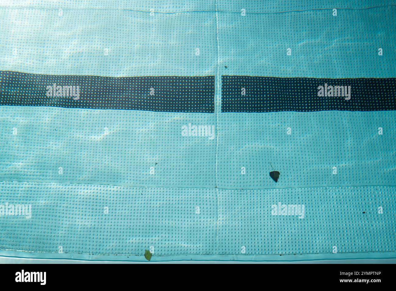 Una tranquilla vista dall'alto di una piscina coperta da una copertura solare blu, caratterizzata da piccole foglie galleggianti, sotto la luce del sole, che creano un'acqua tranquilla Foto Stock
