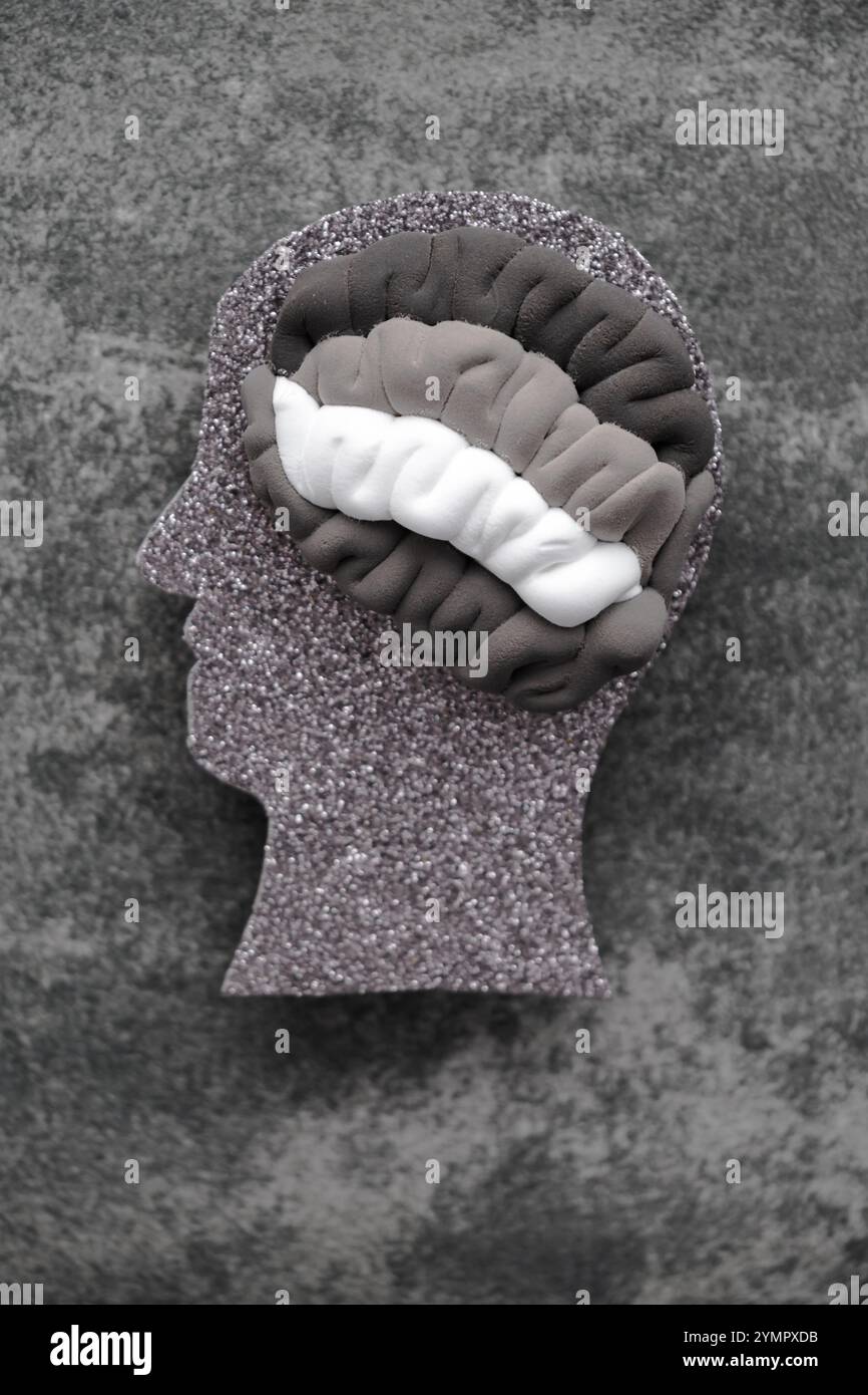 Problemi di salute mentale, disturbo del sistema nervoso, depressione, cambiamenti nel comportamento. vista dall'alto. Foto di alta qualità Foto Stock