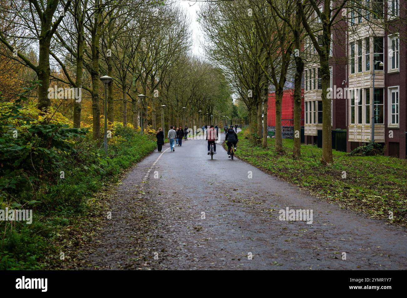 Ciclisti attraverso il giardino Tuinpark nut en Genoegen ad Amsterdam, Paesi Bassi, 15 novembre 2024 Foto Stock