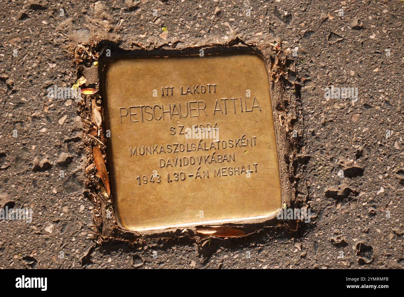 Stolperstein (ostacolo, botlatókő) ad Attila Petschauer, ebreo ucciso nell'Olocausto, Attila út 65/c, 1 ° distretto, Budapest, Ungheria Foto Stock