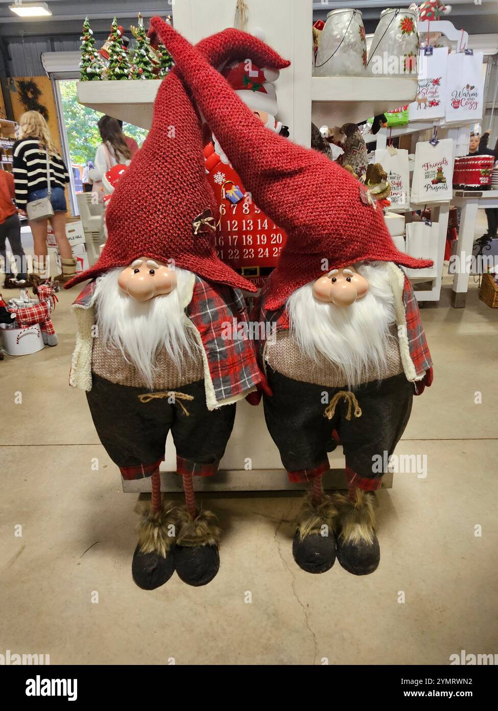 Due allegri gnomi natalizi con cappelli rossi e abiti a quadri esposti in un accogliente negozio di vacanze. Perfetto per i temi dell'arredamento festivo e dello shopping. Foto Stock