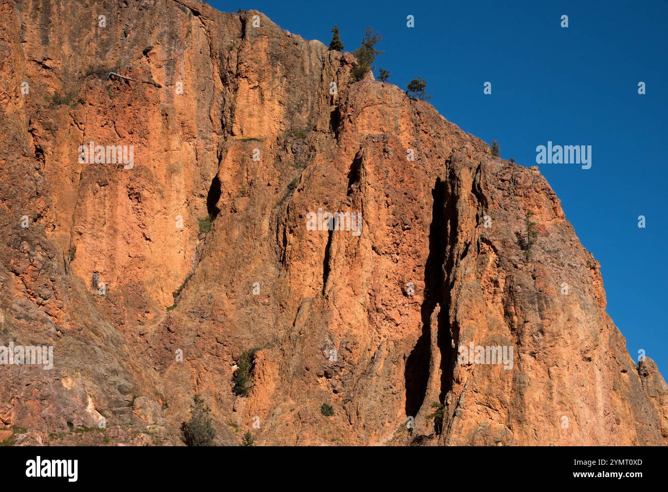 L'ossido di ferro dà alle faglie di Redwall nel Parco Nazionale di Kootenay nelle Montagne Rocciose canadesi nella Columbia Britannica in Canada un'immagine molto rossa. Foto Stock