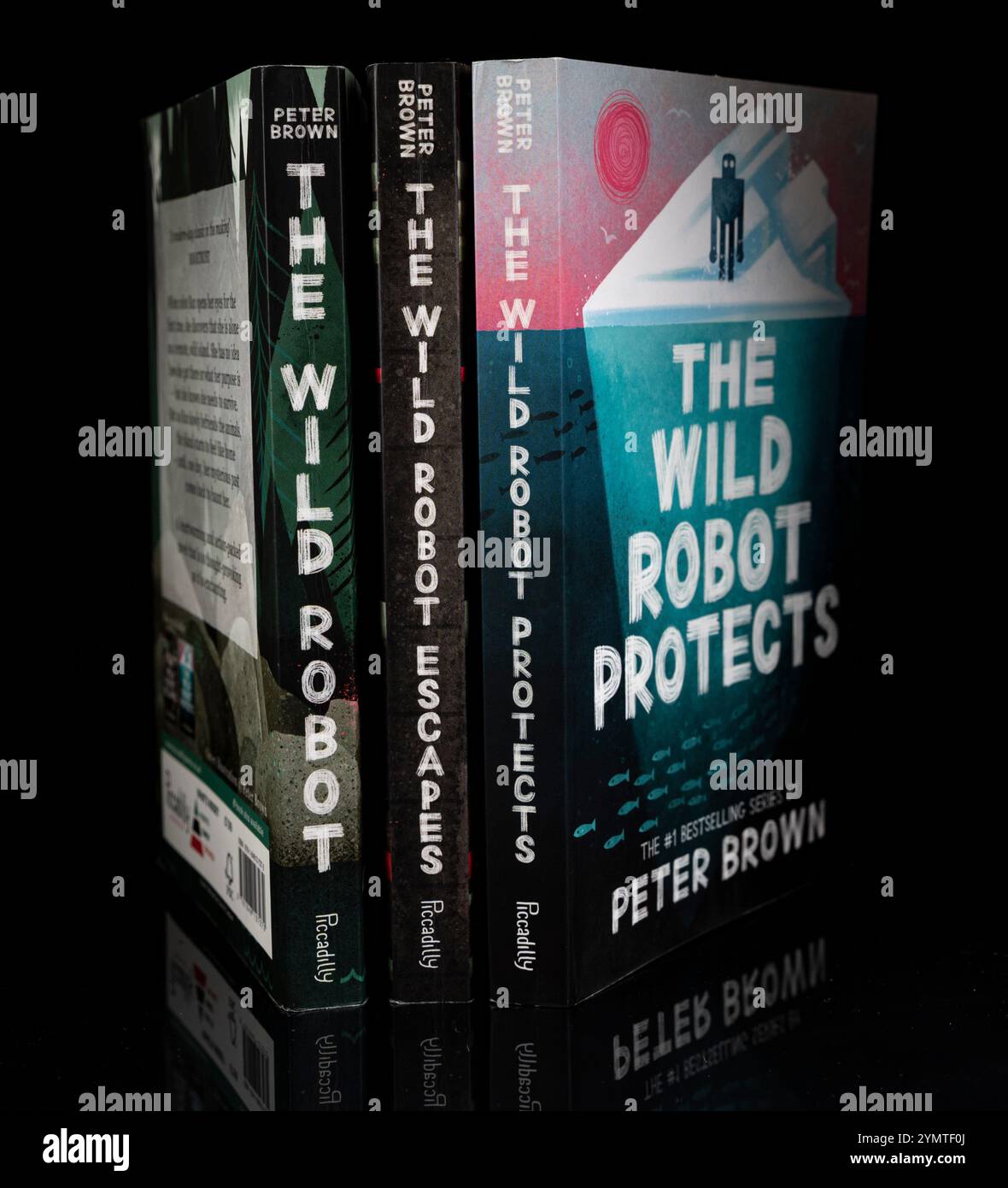 Nova Bana, Slovacchia - 22 novembre 2024 : Copertine dei libri robot bianchi, scritto da Peter Brown. Isolato su sfondo nero. Foto Stock