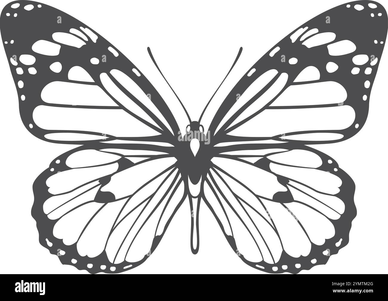 Farfalla esotica. Ali fragili e trasparenti. Insetto delicato Illustrazione Vettoriale