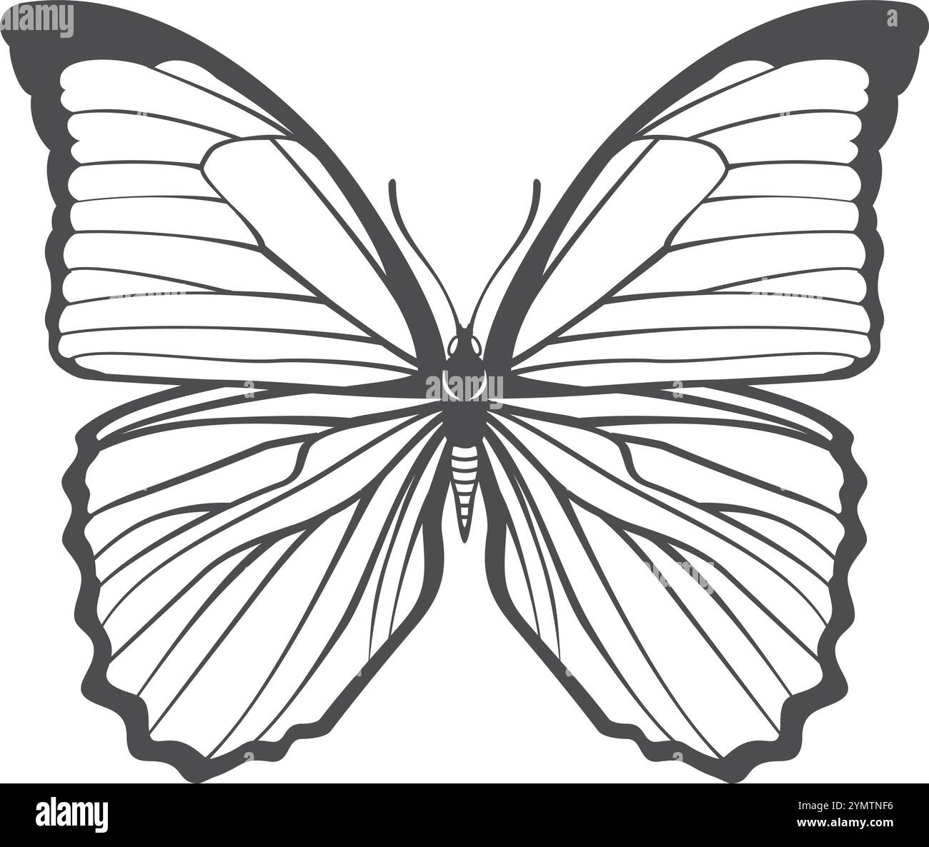 Icona farfalla nera. Bellissimo disegno di insetti alati Illustrazione Vettoriale