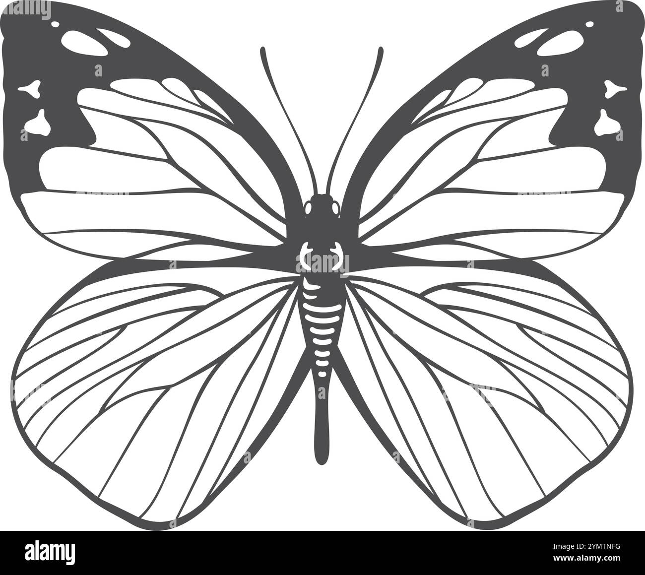 Silhouette Butterfly nera. Natura estiva. Falena ornata Illustrazione Vettoriale