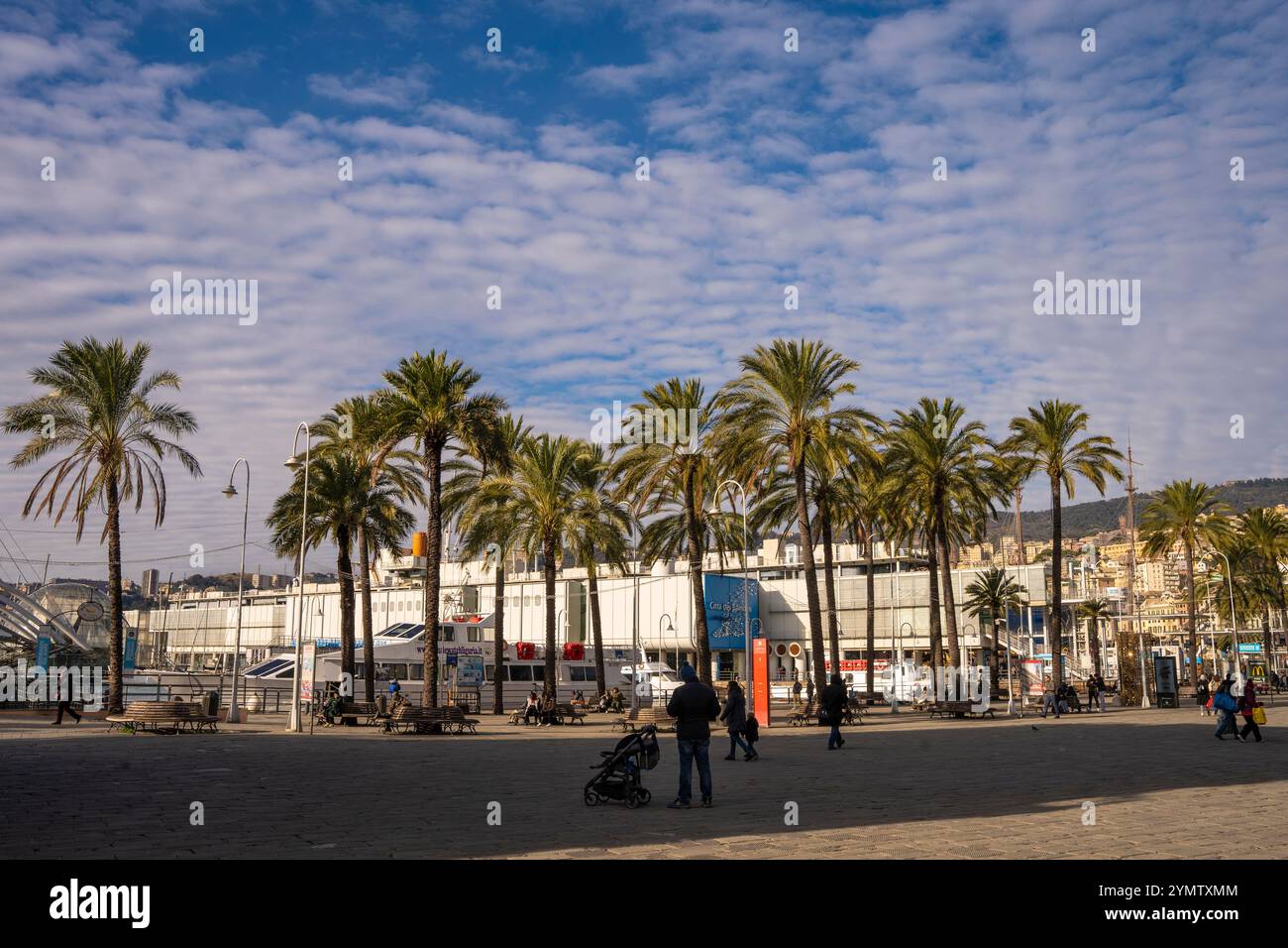 Una passeggiata sul lungomare sotto le palme con gente del posto e turisti che camminano tranquillamente lungo la passeggiata vicino al porto vecchio. Genova, Italia 09.01.2024 Foto Stock