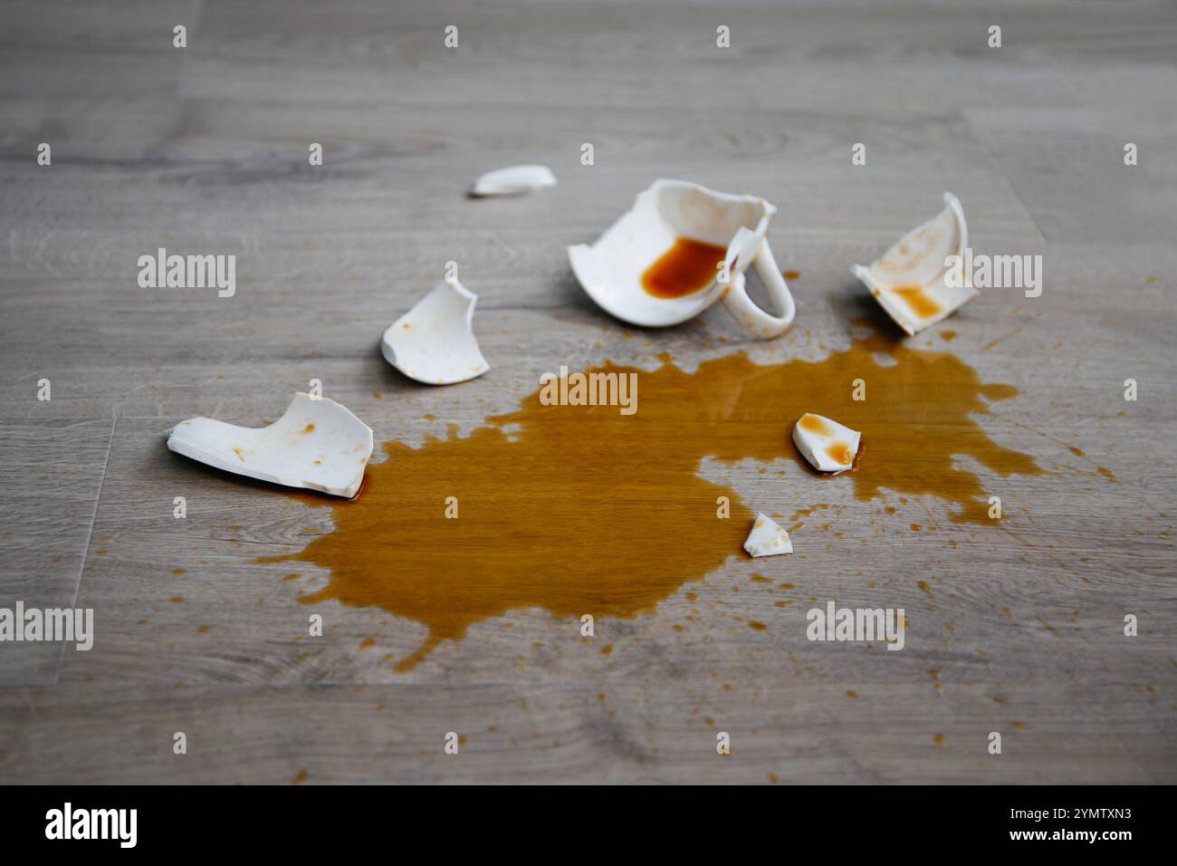 Una tazza di caffè rotta è caduta sul laminato e il caffè è versato sul pavimento. Foto Stock