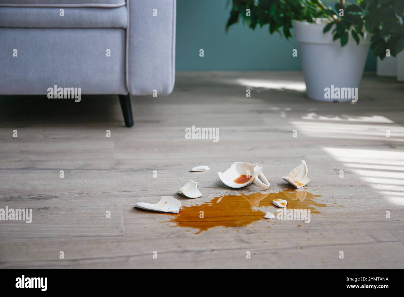 Una tazza di caffè rotta è caduta sul laminato e il caffè è versato sul pavimento. Foto Stock