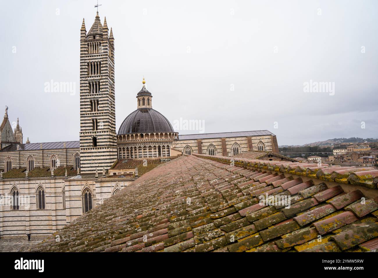 Vista sul tetto della splendida e famosa cattedrale del XIII secolo a Siena (Duomo di Siena). Siena, Italia 07.01.2024 Foto Stock