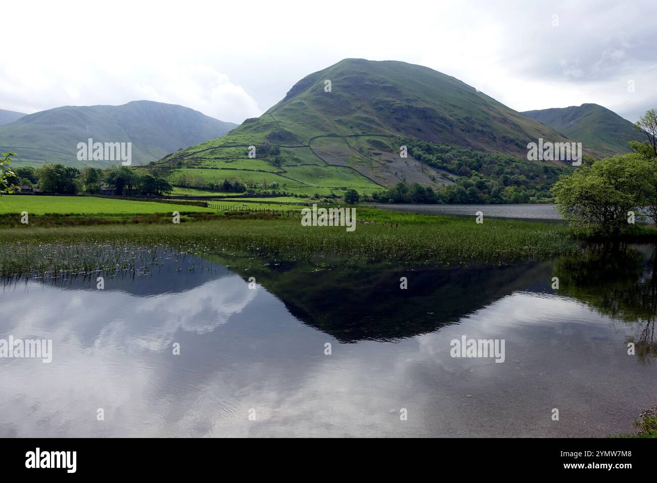 Il Wainwright 'Hartsop Dodd' si riflette nel Brothers Water Lake nella Hartsop Valley di Dovedale, Lake District National Park, Cumbria, Inghilterra, Regno Unito. Foto Stock