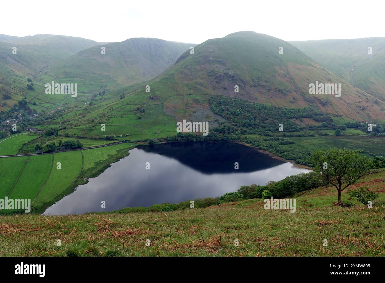 Il Wainwright 'Hartsop Dodd' si riflette nel Brothers Water Lake nella Hartsop Valley di Dovedale, Lake District National Park, Cumbria, Inghilterra, Regno Unito. Foto Stock