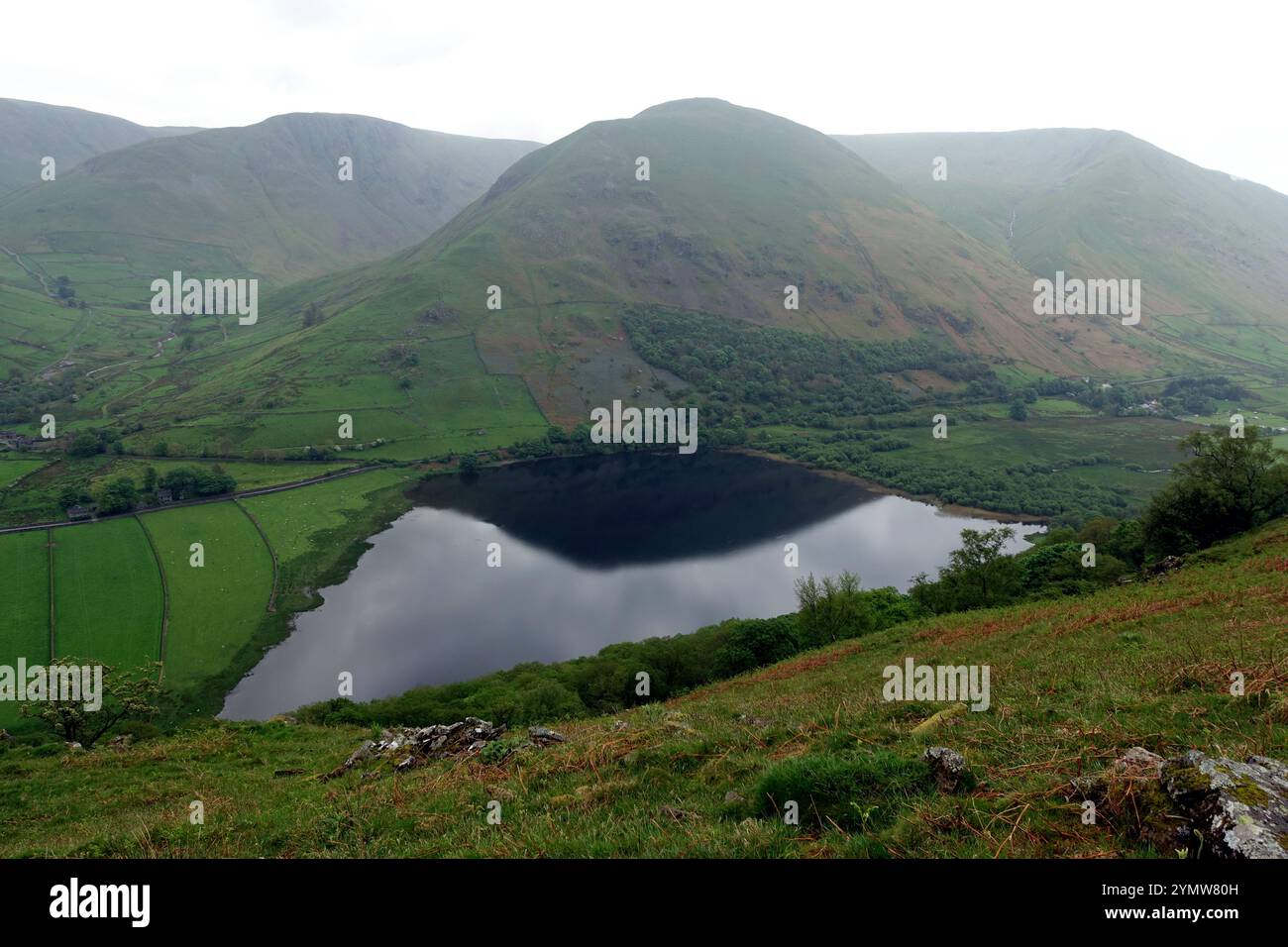 Il Wainwright 'Hartsop Dodd' si riflette nel Brothers Water Lake nella Hartsop Valley di Dovedale, Lake District National Park, Cumbria, Inghilterra, Regno Unito. Foto Stock