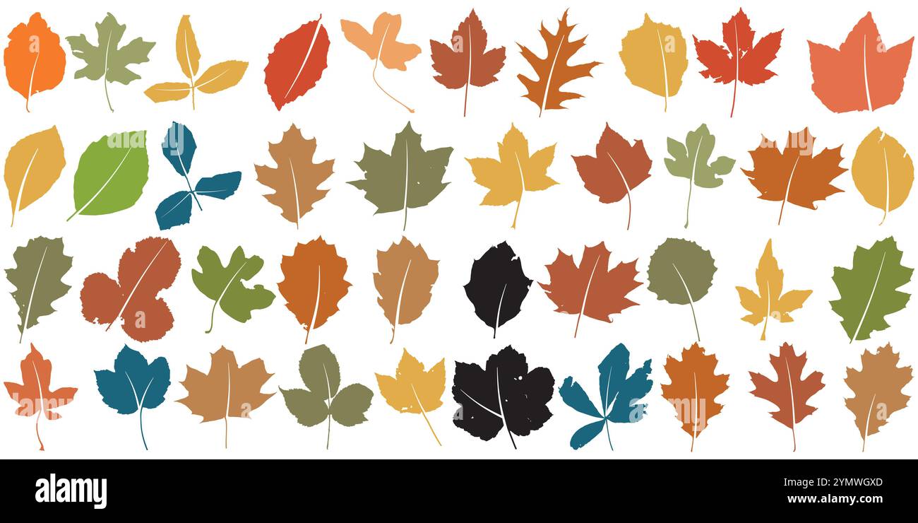 Collezione di foglie colorate autunnali o autunnali isolate su sfondo bianco Illustrazione Vettoriale