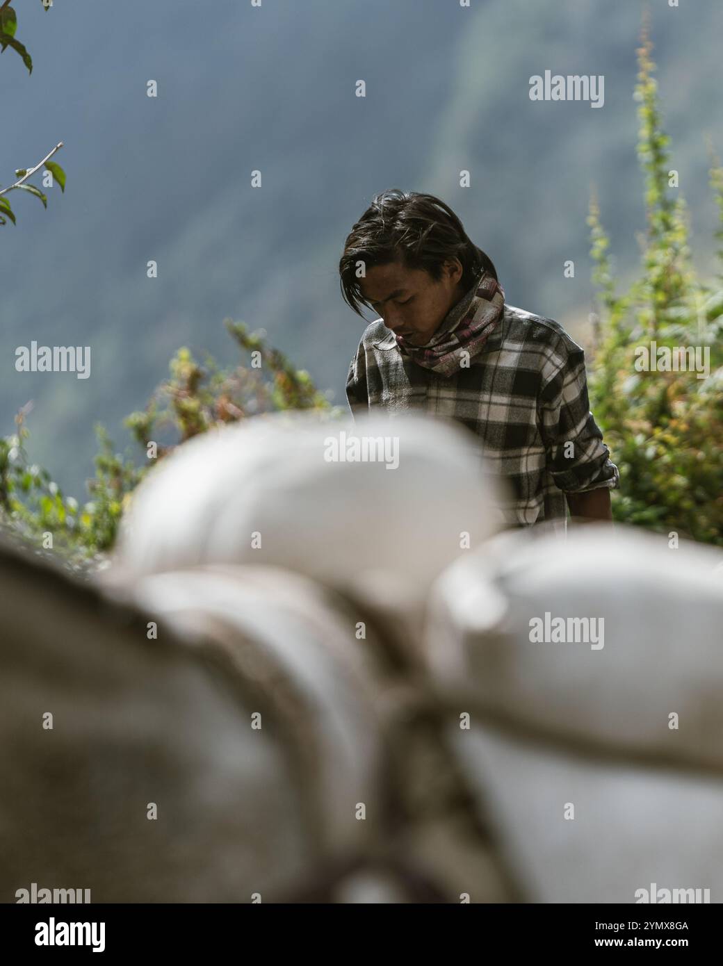 Le persone che lavorano o vivono lungo il percorso del campo base dell'Annapurna Foto Stock