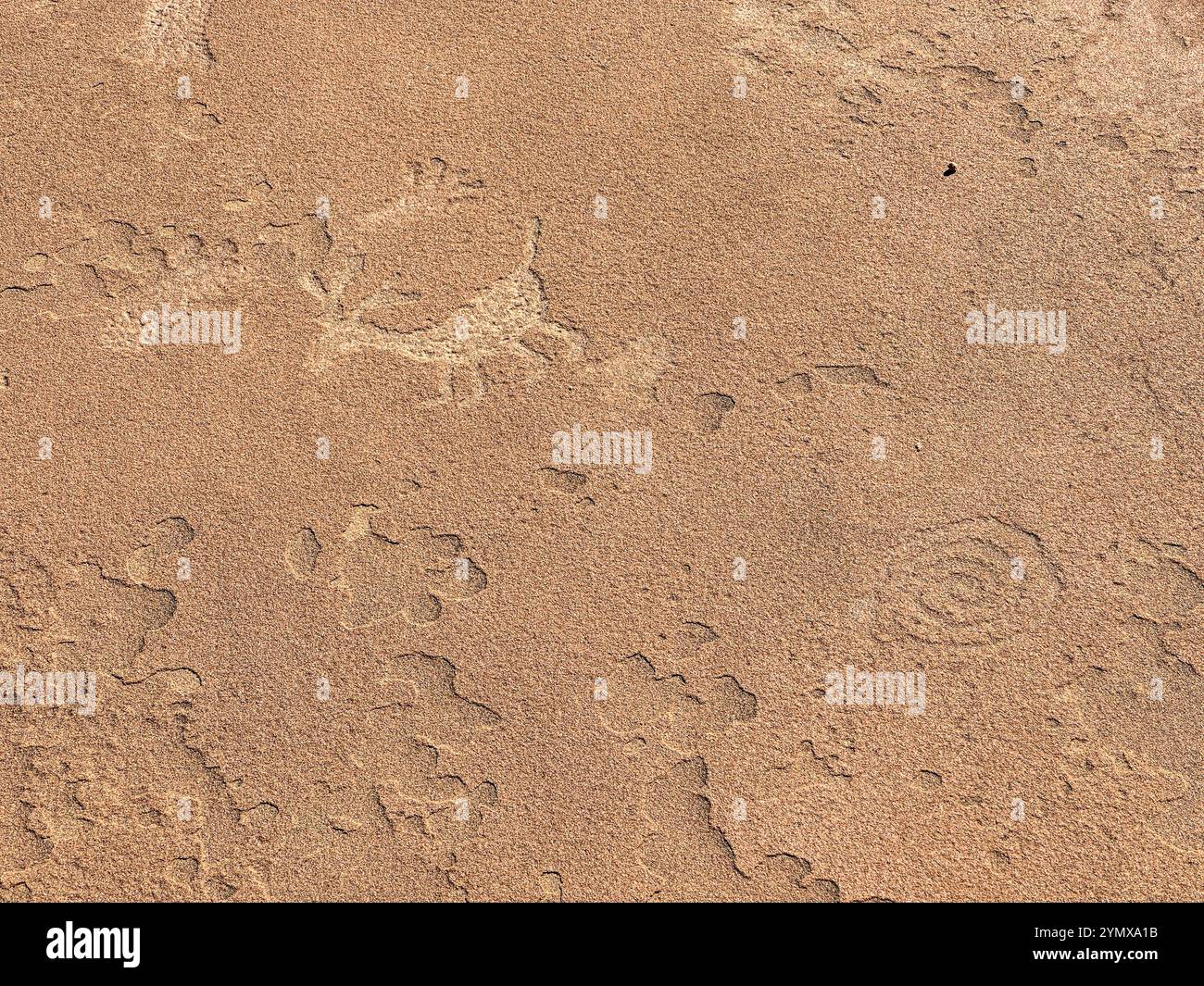 La mappa al Rock Art Ranch, Winslow, Arizona, Stati Uniti - Immagine stock catturata con smartphone