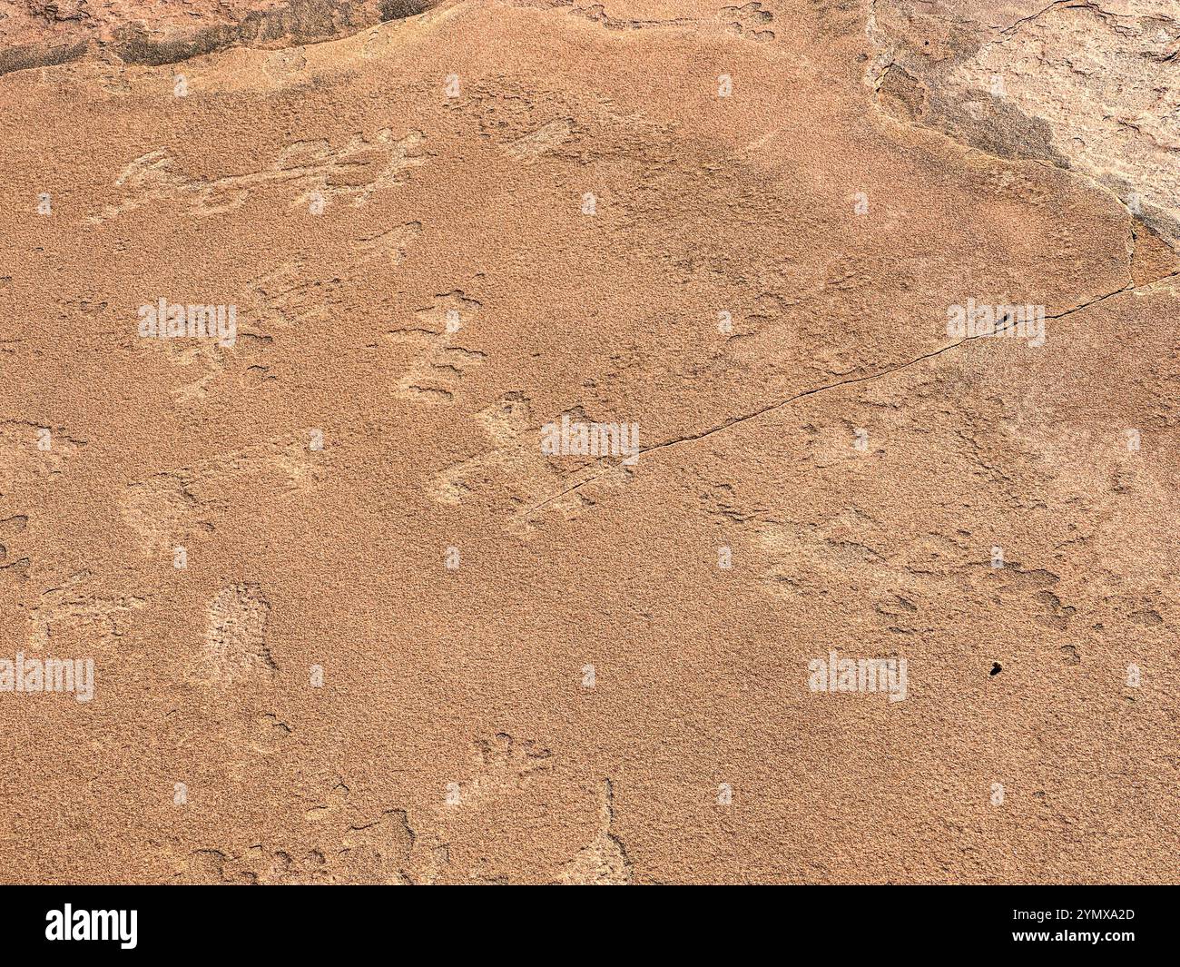 La mappa al Rock Art Ranch, Winslow, Arizona, Stati Uniti - Immagine stock catturata con smartphone