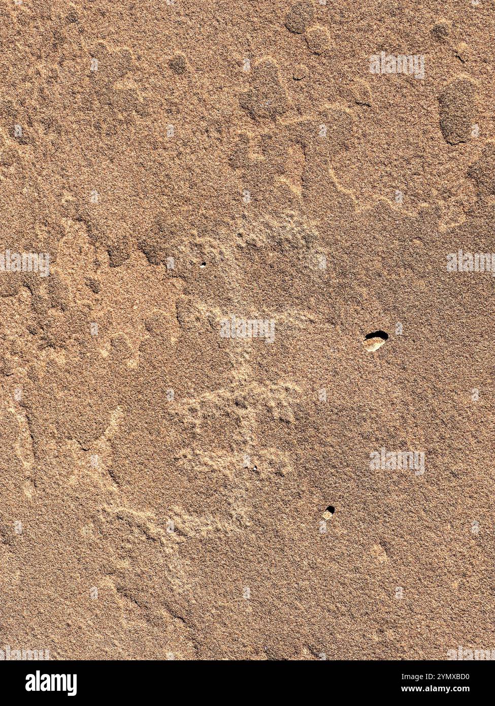 La mappa al Rock Art Ranch, Winslow, Arizona, Stati Uniti - Immagine stock catturata con smartphone